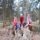 Im Wald